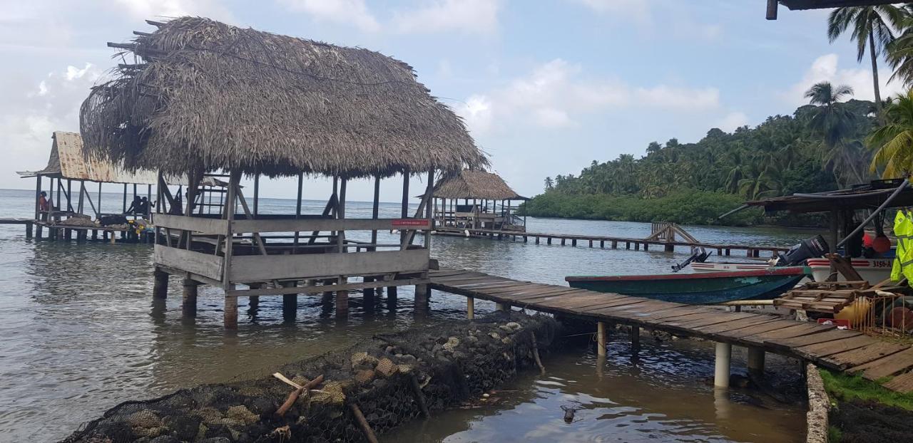 Rainforest Lodge Del Rio Portobelo Exterior photo